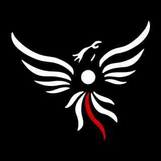 Creator Profile
