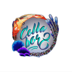 Creator Profile