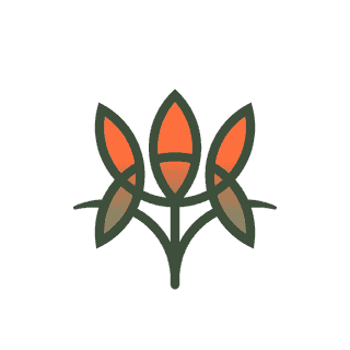 Creator Profile